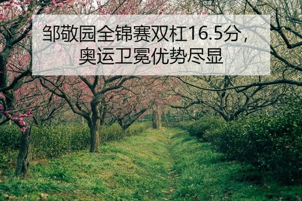 zou-jing-yuan-quan-jin-sai-shuang-gang-fen-ao-yun-wei-mian-you-shi-jin-xian-2-925.jpg