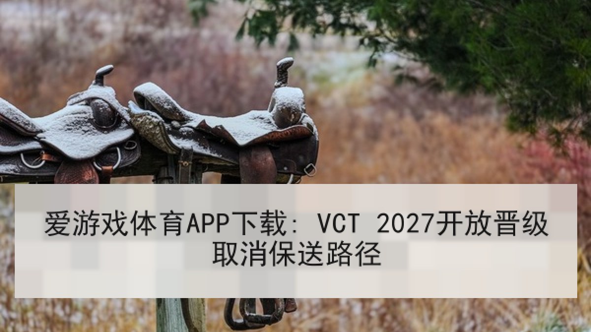 爱游戏体育APP下载: VCT 2027开放晋级取消保送路径