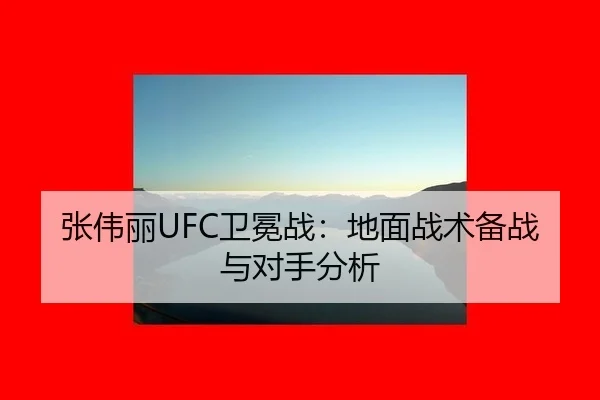 张伟丽UFC卫冕战：地面战术备战与对手分析