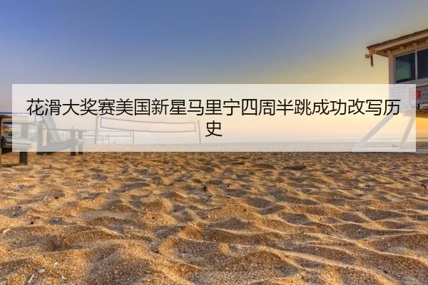 hua-hua-da-jiang-sai-mei-guo-xin-xing-ma-li-ning-si-zhou-ban-tiao-cheng-gong-gai-xie-li-shi-2-139.jpg